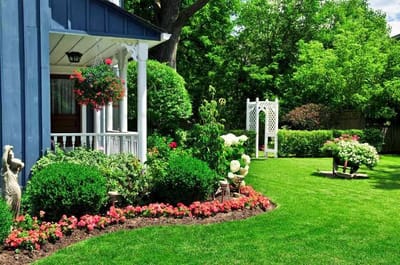Reliable Landscaping Services in Riyadh for Every Property