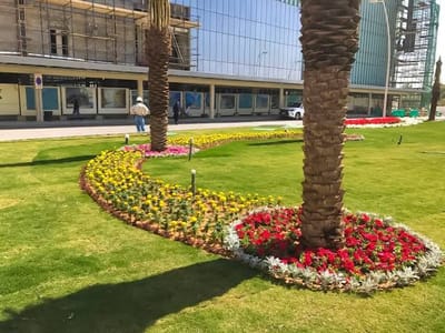 Expert Garden Planning from a Landscape Design Company Saudi Arabia