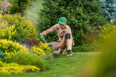 Discover the Benefits of Riyadh Landscaping Services