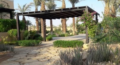 Landscape Contractors in Riyadh | Services Explained