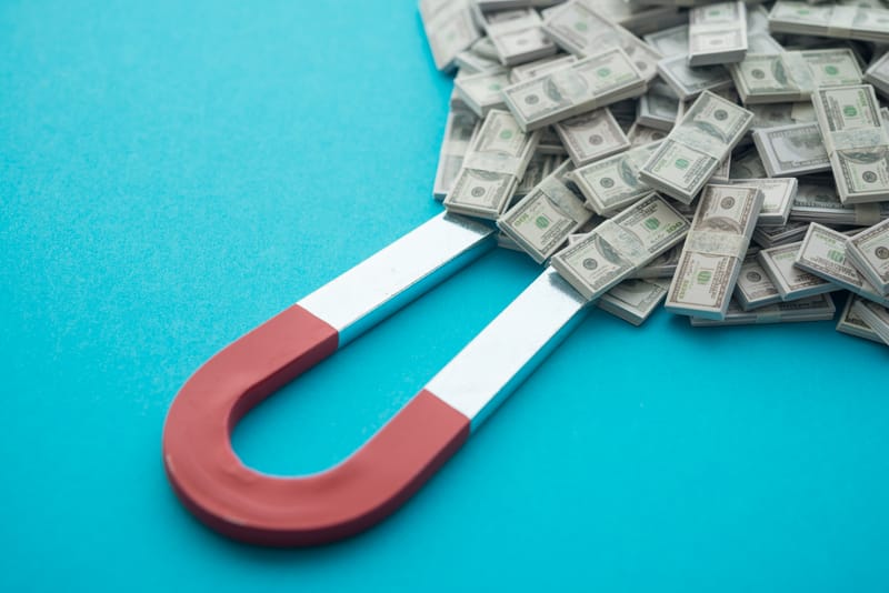 Investment & Growth Support