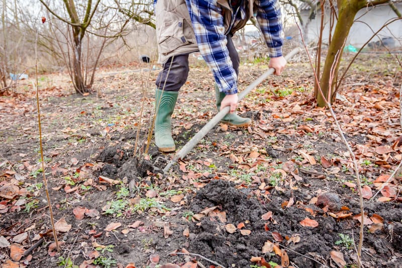 Complete Yard Care Guide for Ottawa & Gloucester Lawn Services