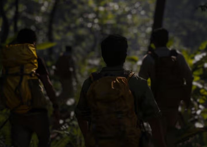 Kaziranga National Park safari tours