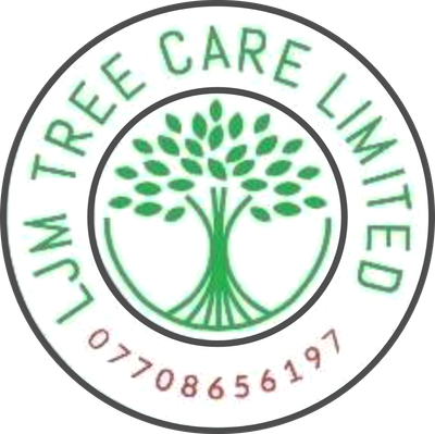 Liverpools Leading Tree Care Company