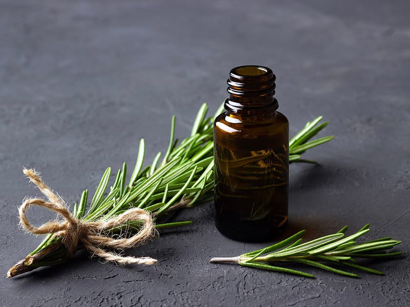 El secreto ancestral para un cabello espectacular: 5 Beneficios del romero