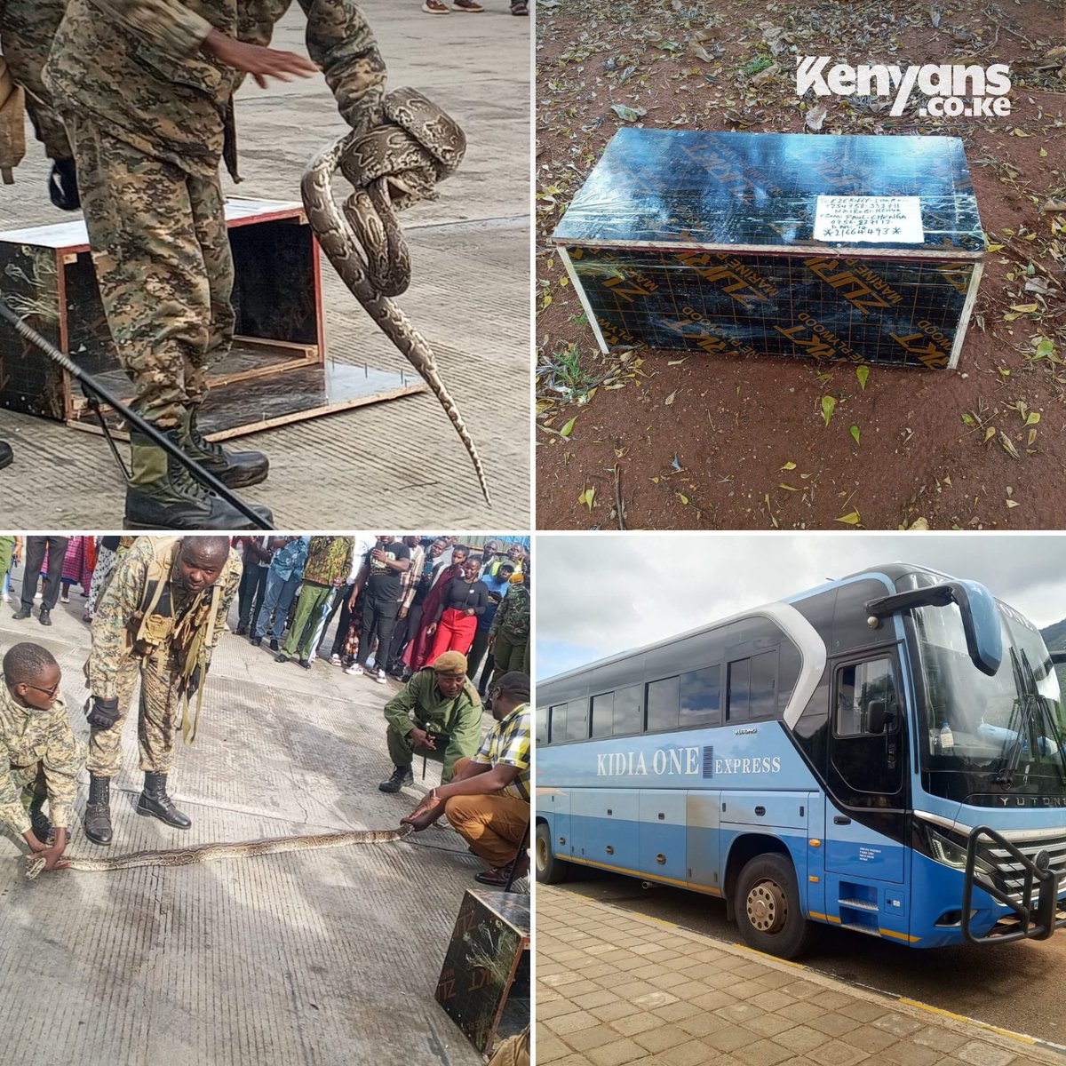 13-Foot Python Seized at Namanga Border