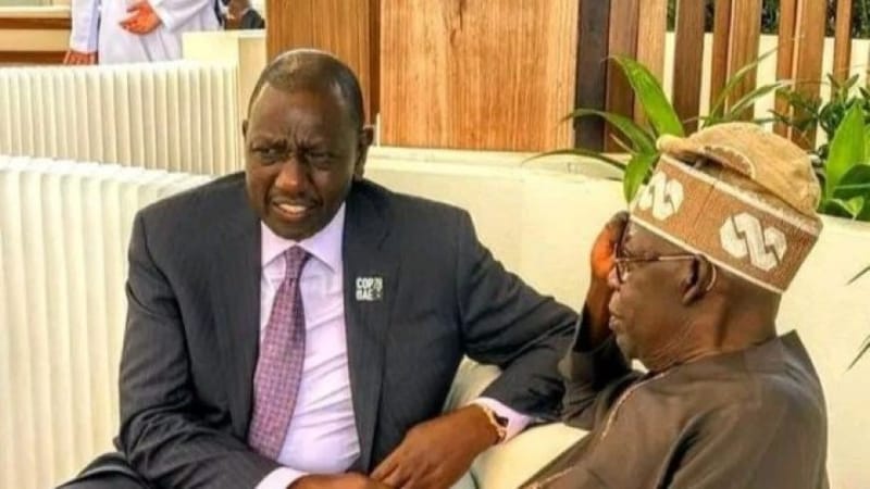 Tinubui's remarks comparing Nigeria and Kenya fuel crisis trigger backlash online as Kenyans defend their country