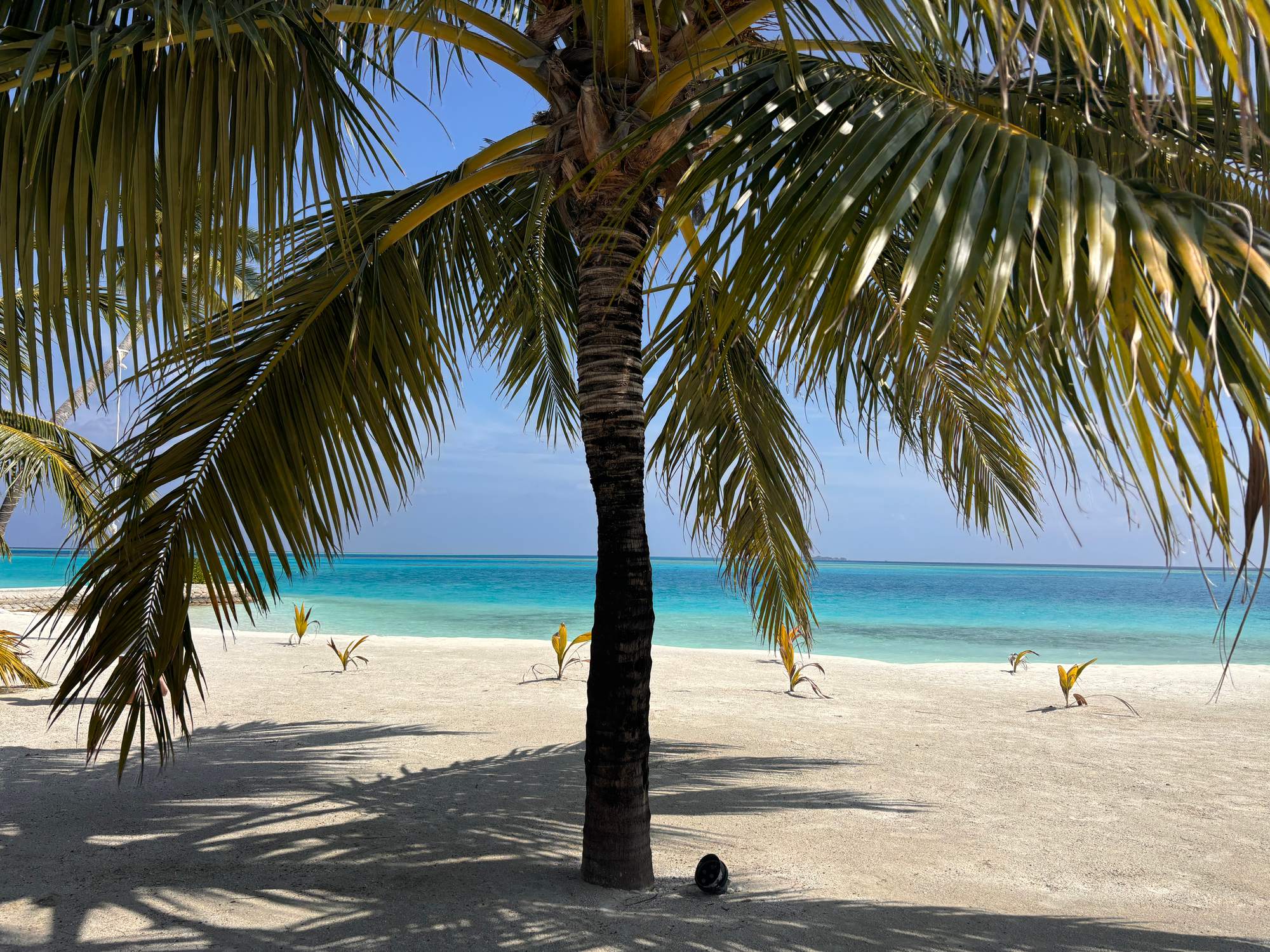 Maldives: but if you want a bit of luxury too