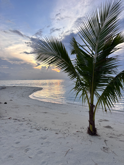 Maldives: Beyond the resorts