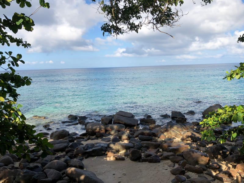 Video Malaysia thumbnail