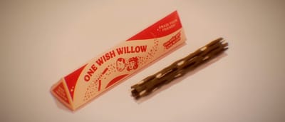 # The One Wish Willow and the Ancient Art of Spells: From Horror Fiction to Living Magic