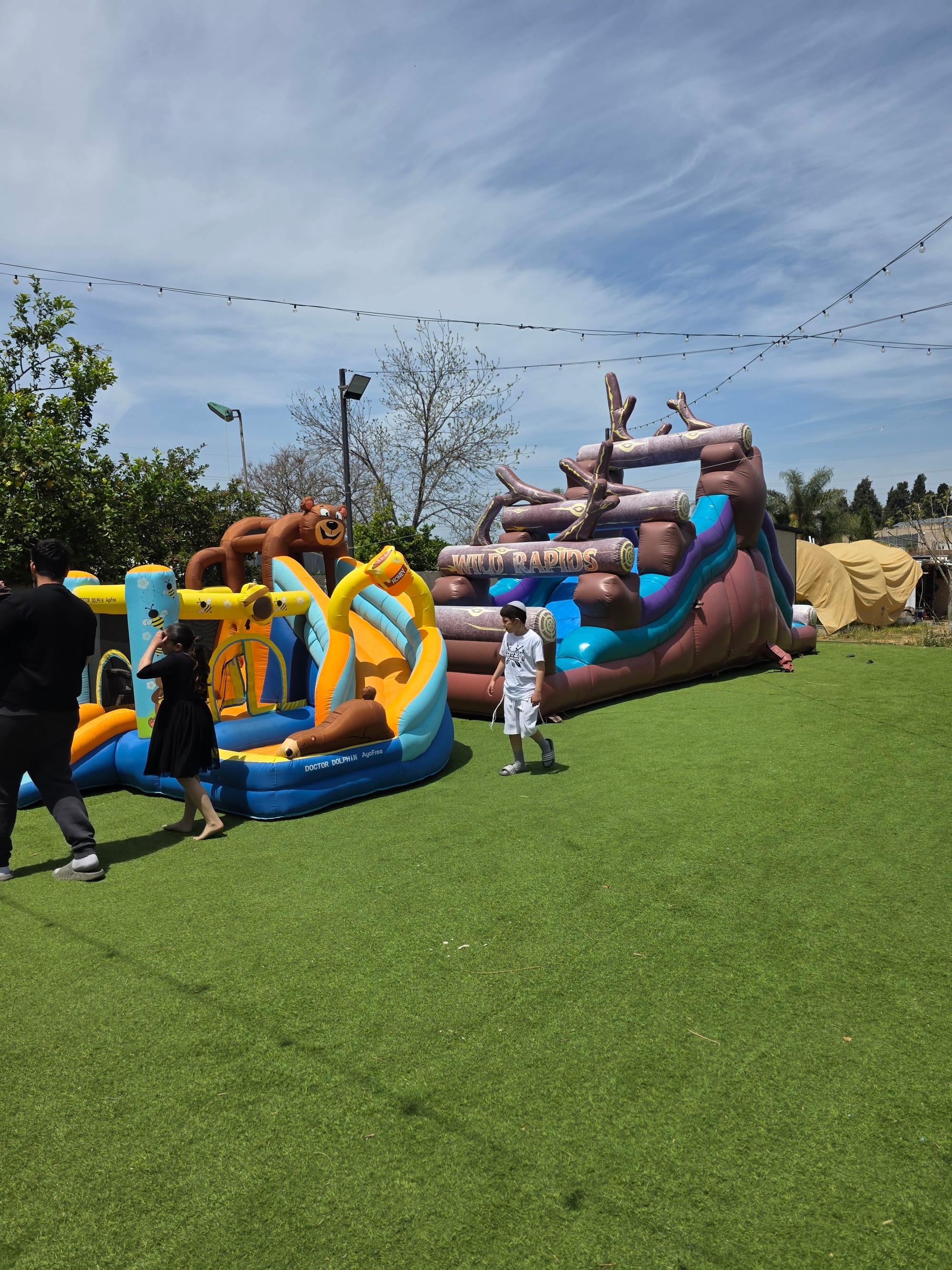 מתנפחים מגלשת עצים ודובי בממלכת הדבש