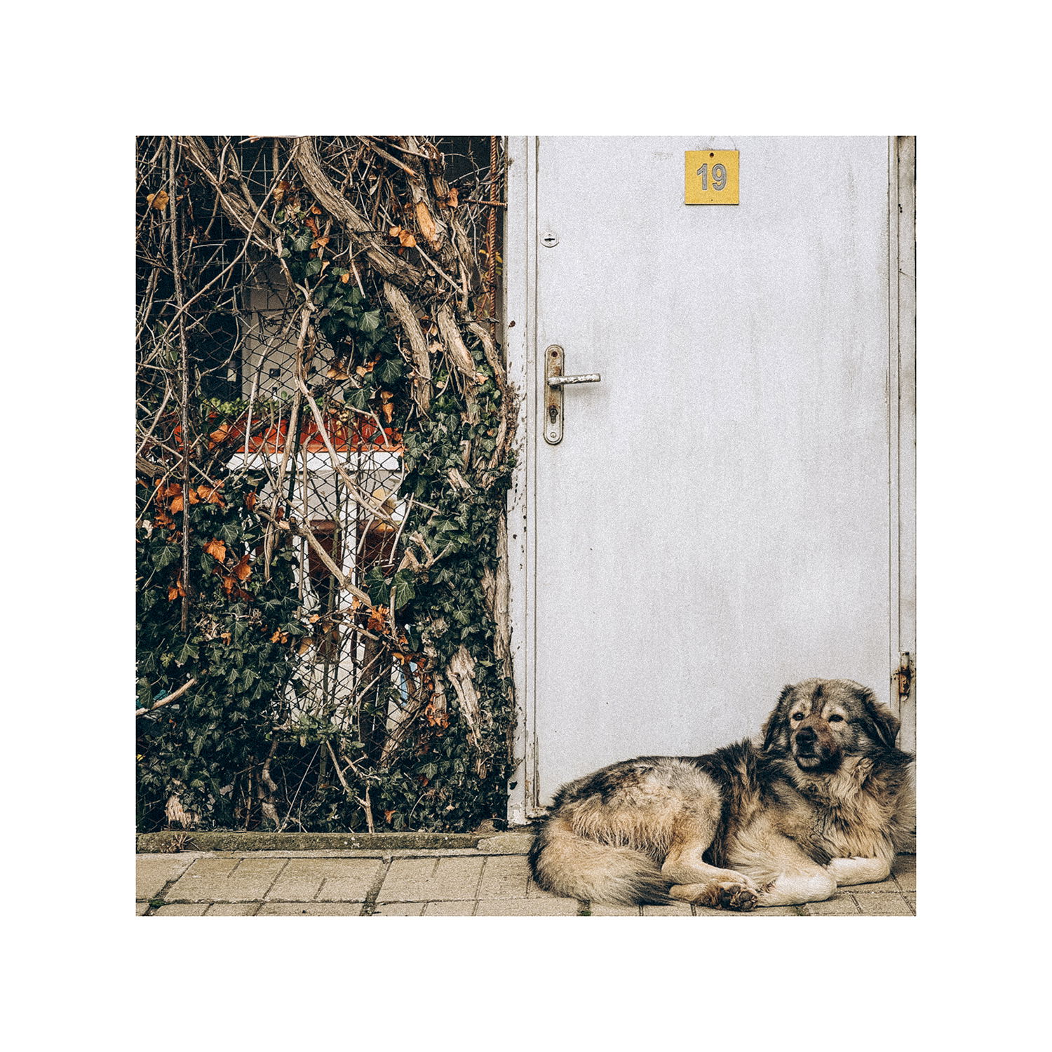 "Дом 19", село Синеморец