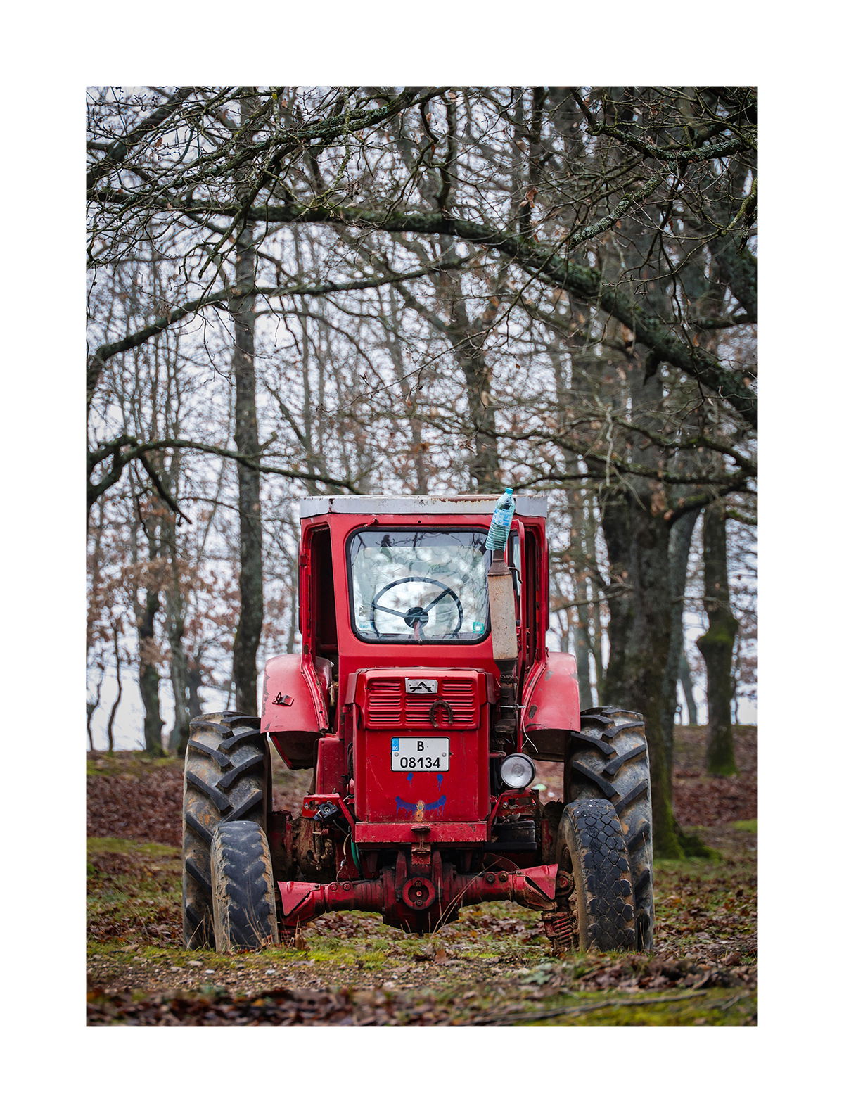 ":)", село Звездец