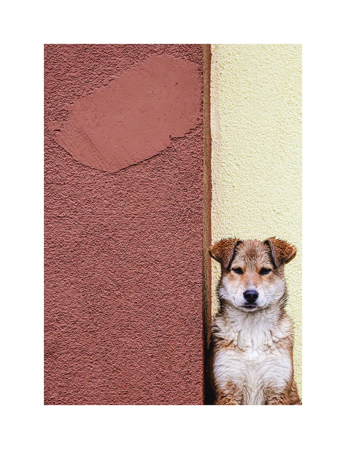 Пред читалището, село Росен