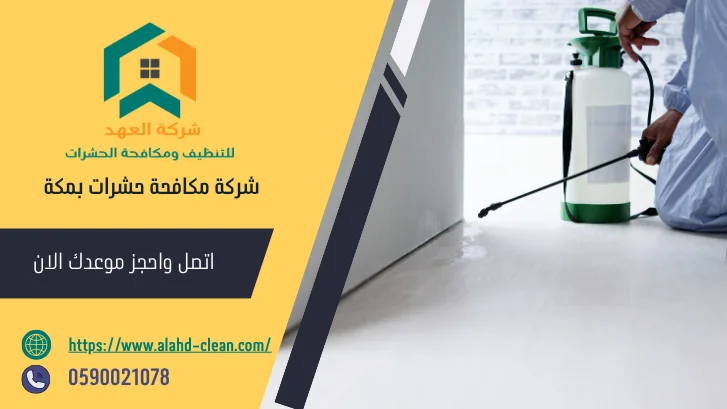 شركة مكافحة حشرات بمكة