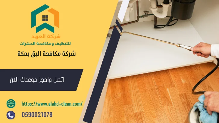 شركة مكافحة البق بمكة
