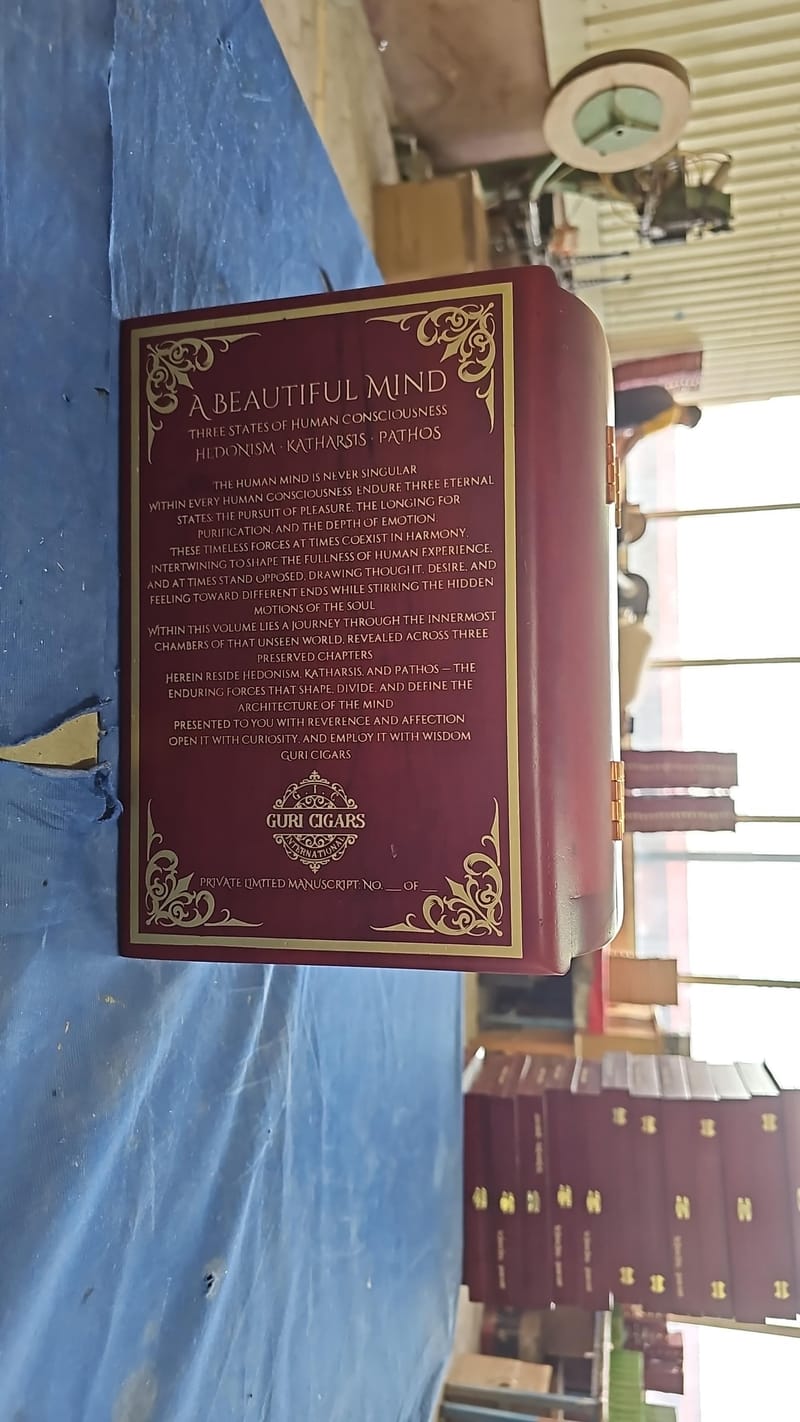 The history of the "Beautiful Mind" Limitada