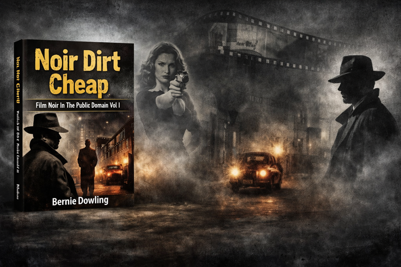 NOIR DIRT CHEAP