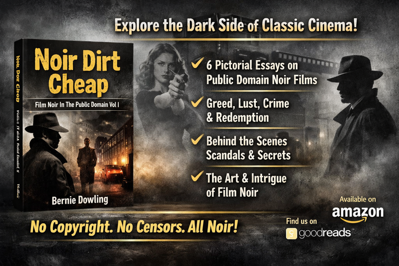 NOIR DIRT CHEAP