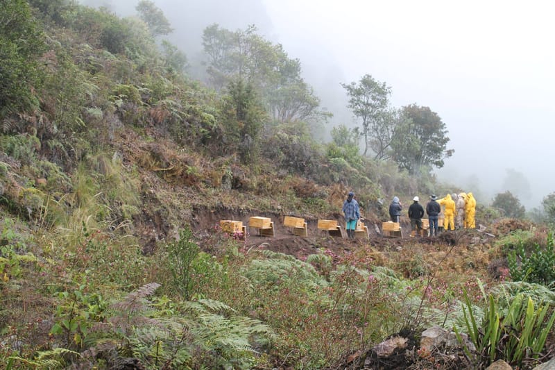 Proyecto Apícola Páramo de la Rusia