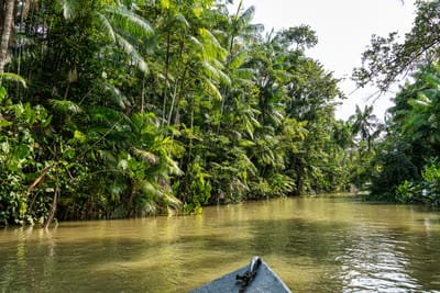 Desafios para o enfrentamento da crise ambiental da Amazônia