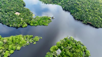 Amazônia, Um Inferno Encharcado: Uma Leitura De Terra Encharcada De Jarbas Passarinho