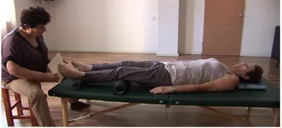 Changes in neural resting state activity in primary and higher-order motor areas induced by a short sensorimotor intervention based on the Feldenkrais method