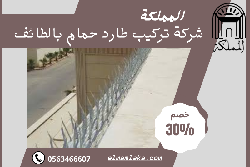 شركة تركيب طارد حمام بالطائف