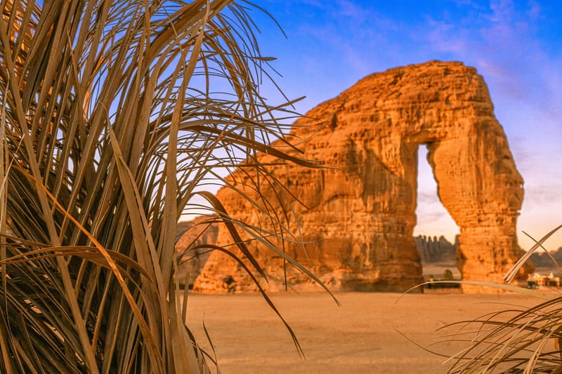 سياحة ترفيهية