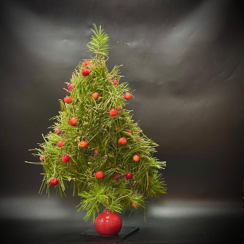 Third Grade Teacher of the Sogetsu School of Ikebana Tokyo