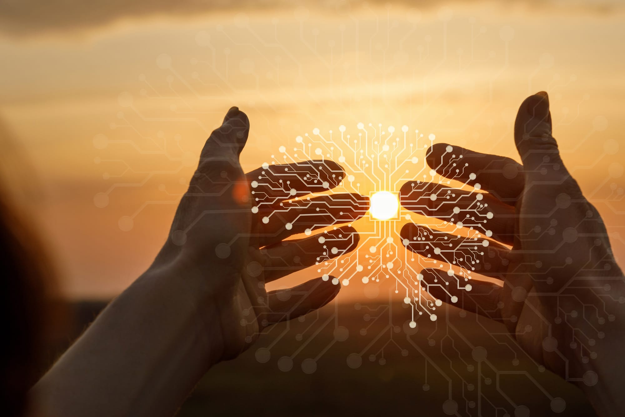 The Future of Consciousness