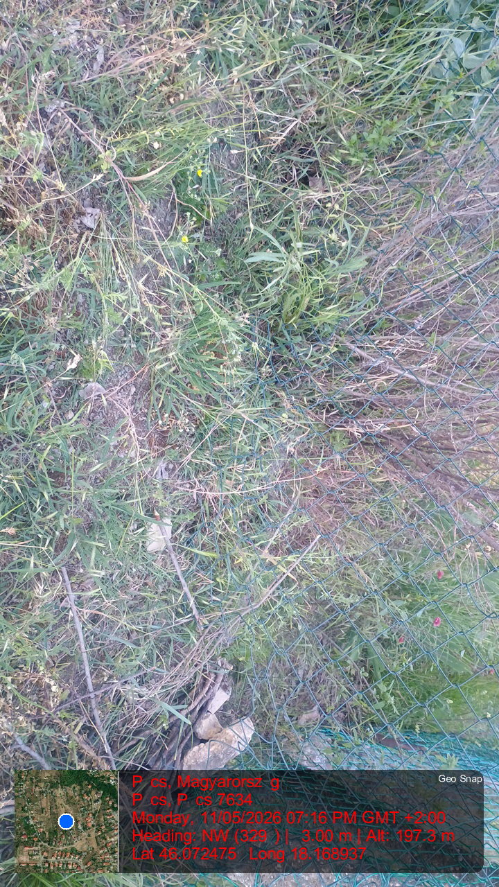 negatív péda
