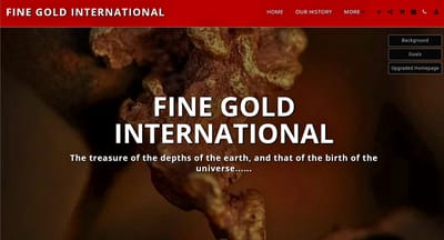 FINE GOLD INTERNATIONAL