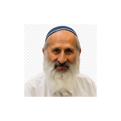 הרב שלמה אבינר שליט"א