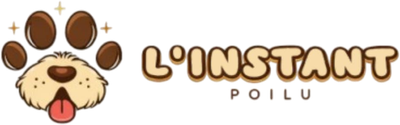 linstantpoilu.com