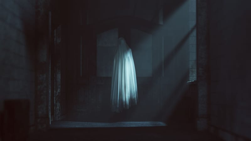 Haunting & Poltergeist - Case Study