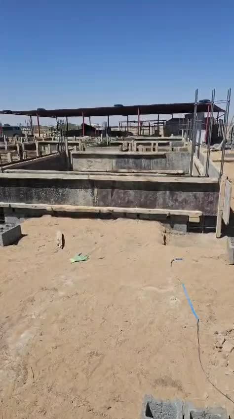 الصور و الفيديوهات