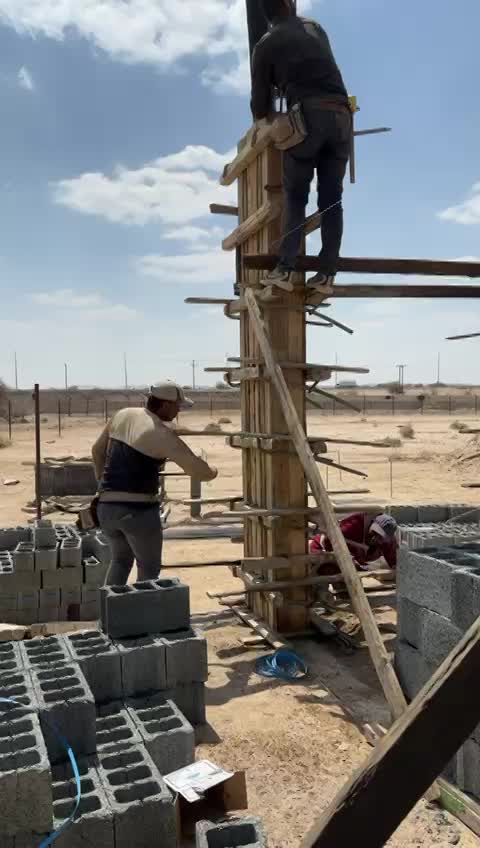 الصور و الفيديوهات