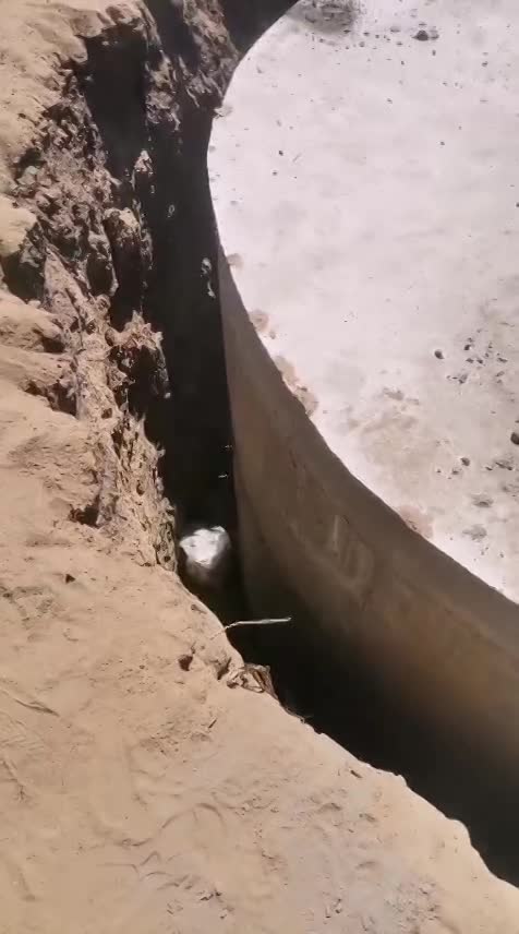 الصور و الفيديوهات