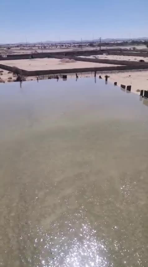 الصور و الفيديوهات