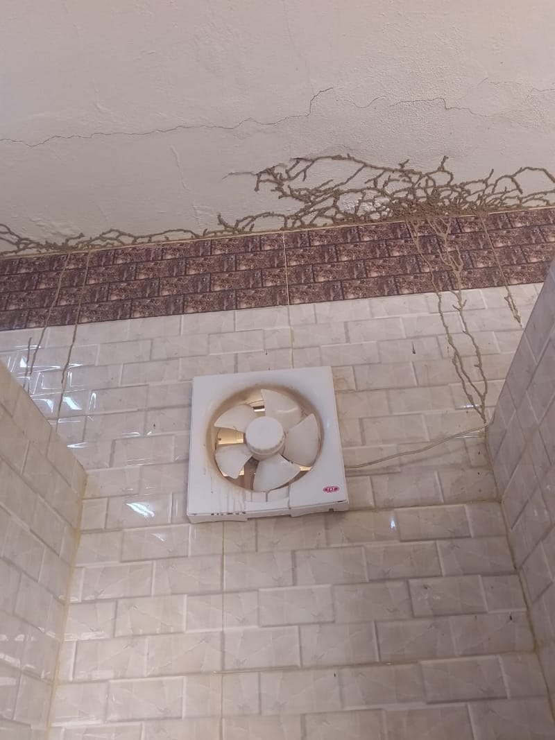 ‏‏‏‏م-7-25-محراب -صيانة-مسجد الاحسان