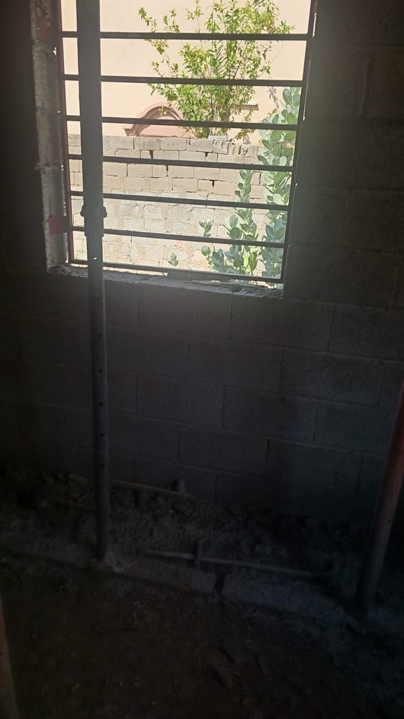 صور و فيديوهات المشورع