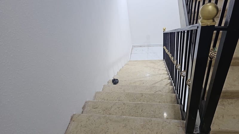 صور و فيديوهات المشروع