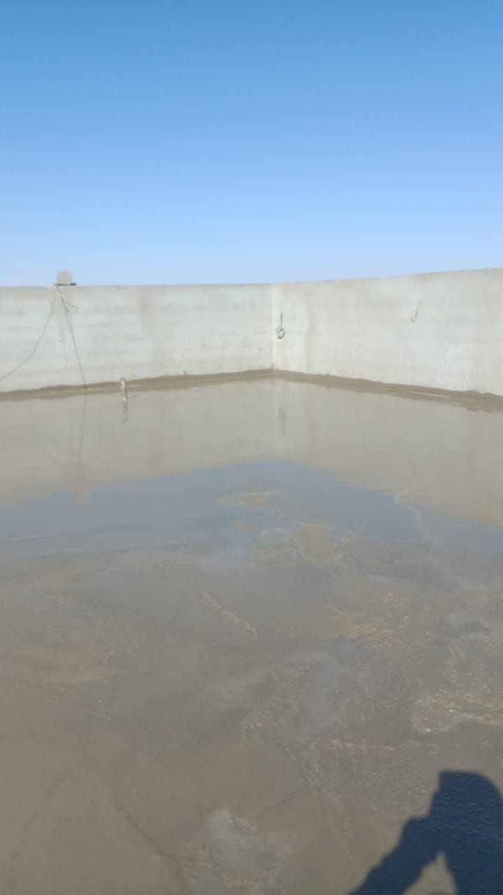 الصور و الفيديوهات