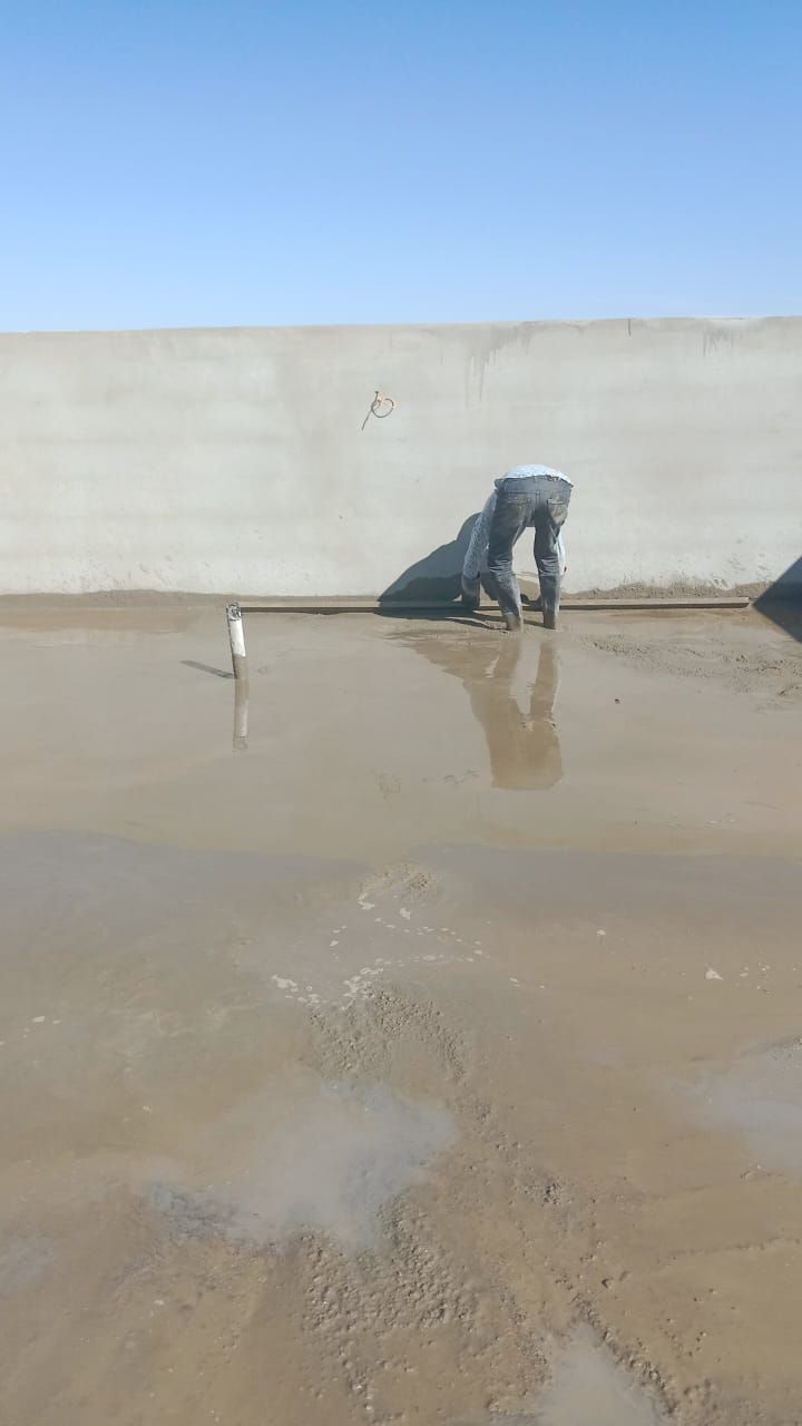 الصور و الفيديوهات