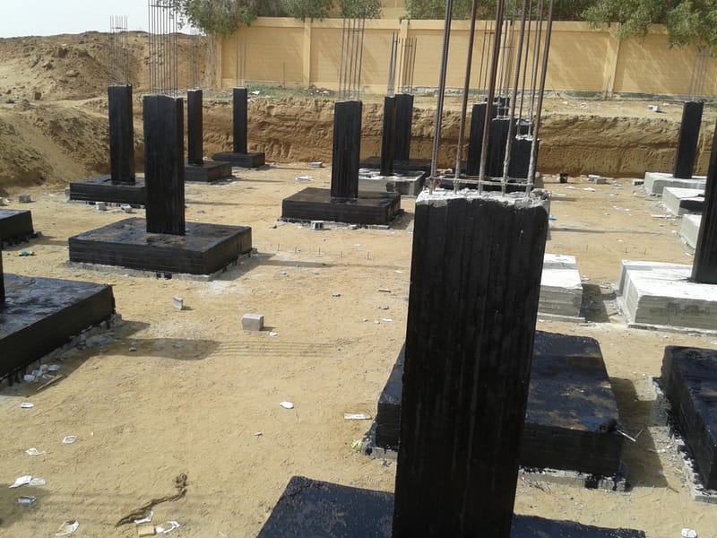 الصور