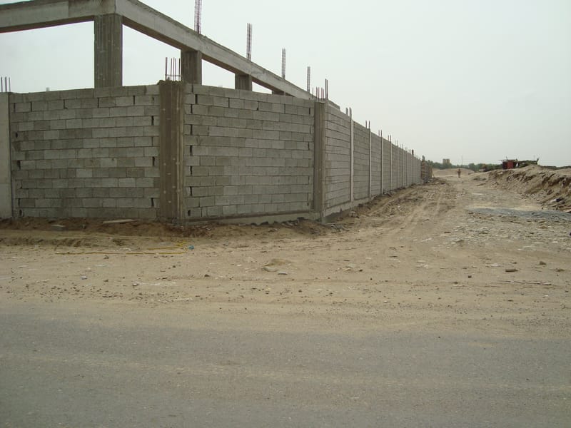 الصور