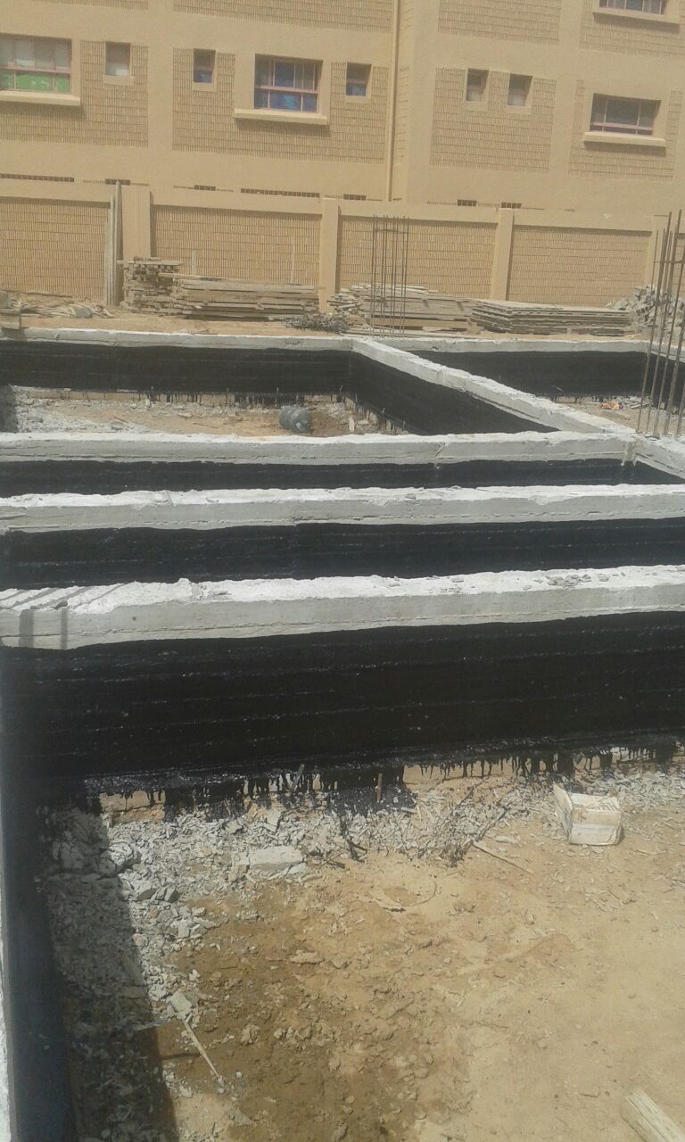 الصور