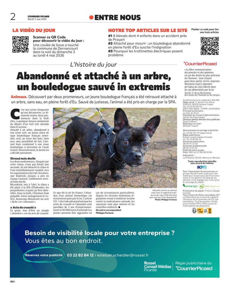 Courrier Picard Phiilippe Fortune 
